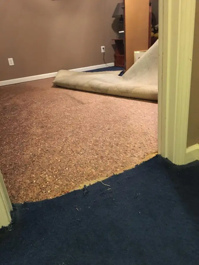 Carpet pad removal revealing water damage during Water Mitigation Services in Lakeland Highlands