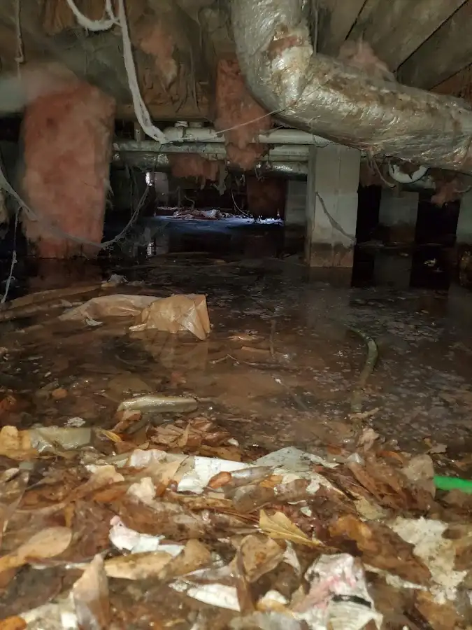 Crawl space flood assessment for Leak Detection & Repair in Lakeland Highlands